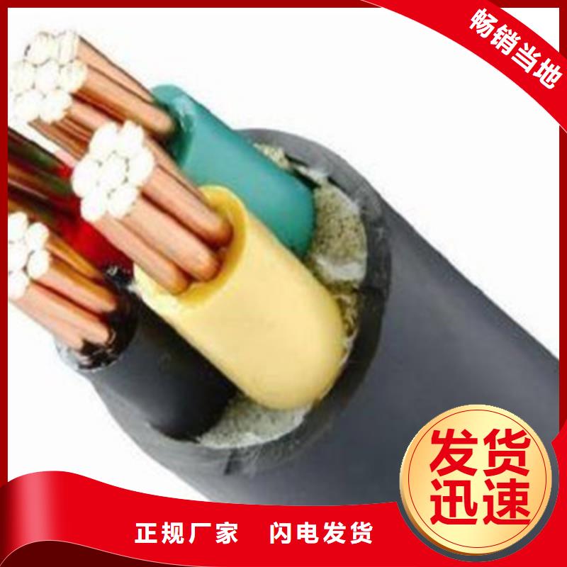 特种电缆-屏蔽电缆供货及时让客户买的放心