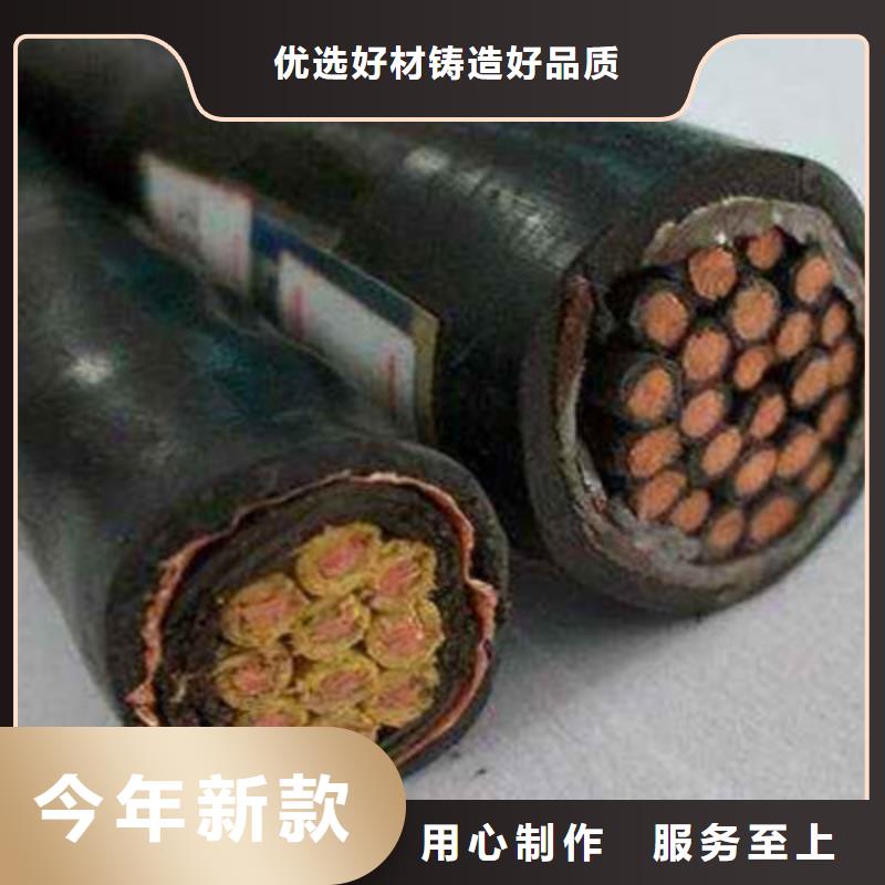 特种电缆【阻燃电缆厂家】厂家质量过硬制造生产销售