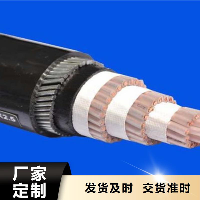 【特种电缆电缆生产厂家欢迎来电询价】敢与同行比质量
