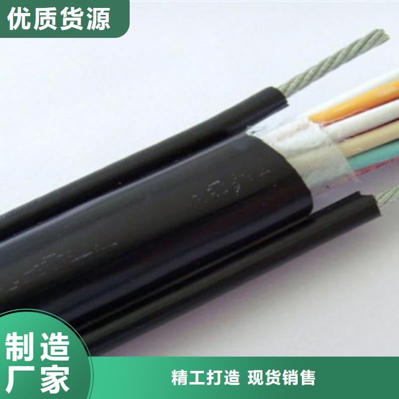通信电缆控制电缆市场行情厂家直营