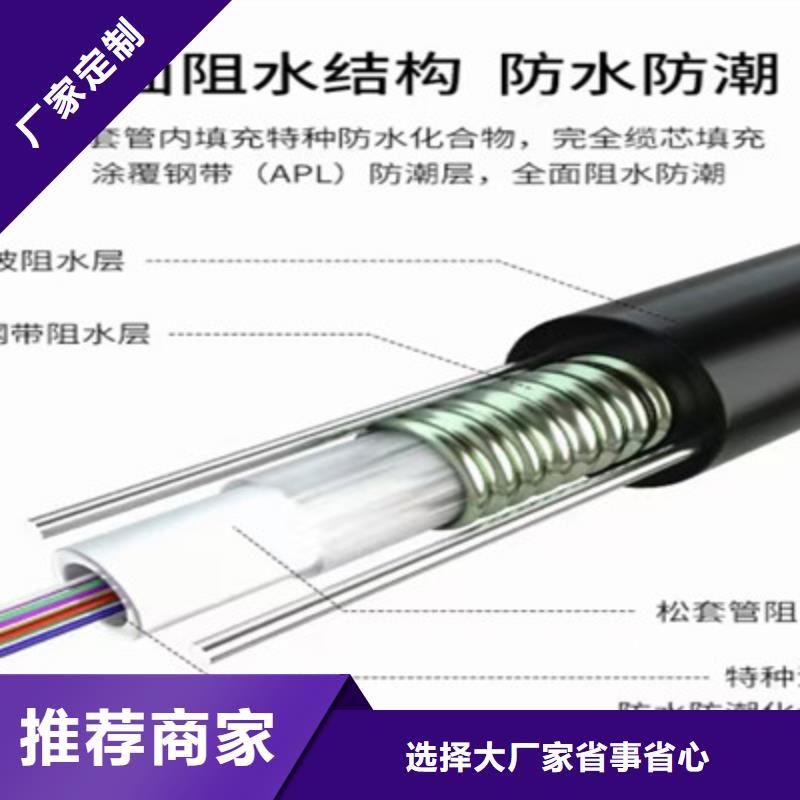 通信电缆信号电缆检验发货本地品牌