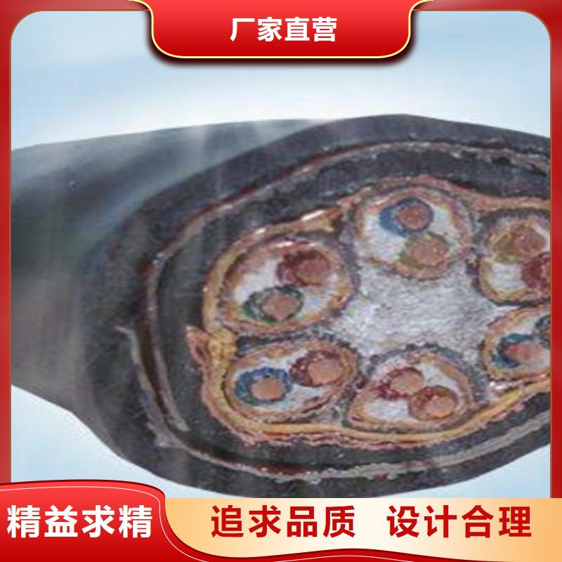 计算机电缆通信电缆N年生产经验丰富的行业经验