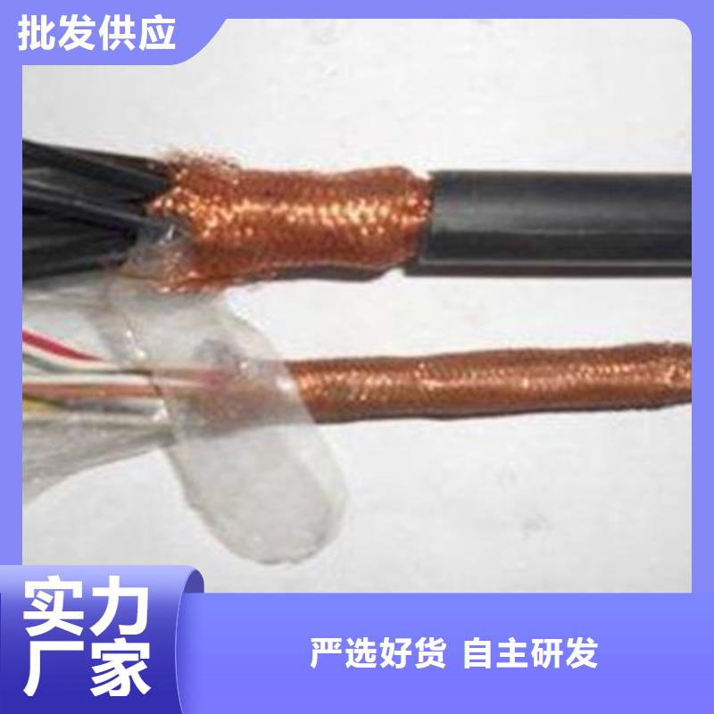 计算机电缆屏蔽电缆实力大厂家工厂自营