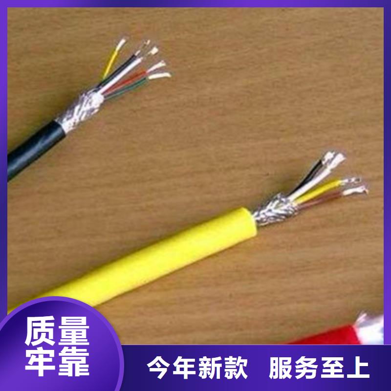 计算机电缆【电缆生产厂家】设备齐全支持定制本地供应商