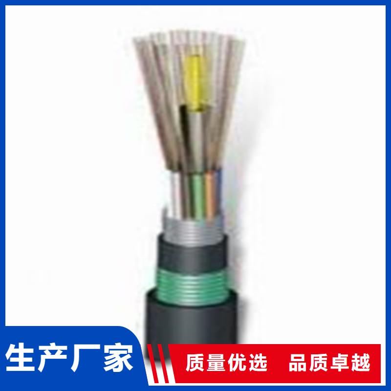 铁路信号电缆信号电缆厂家十分靠谱价格实惠工厂直供