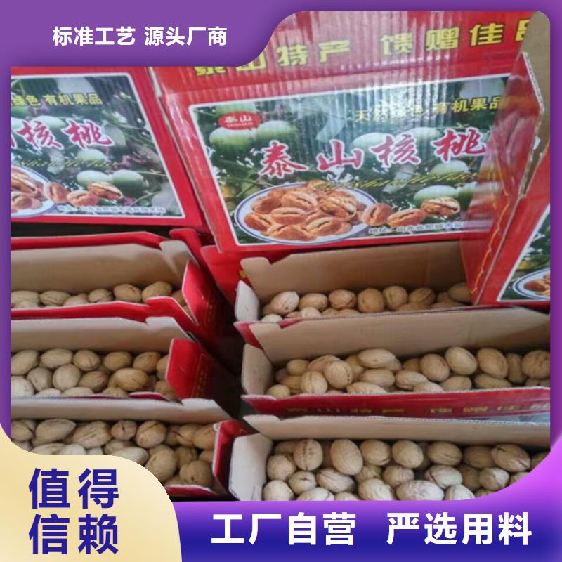 核桃苗【果树苗批发基地】拒绝中间商本地品牌