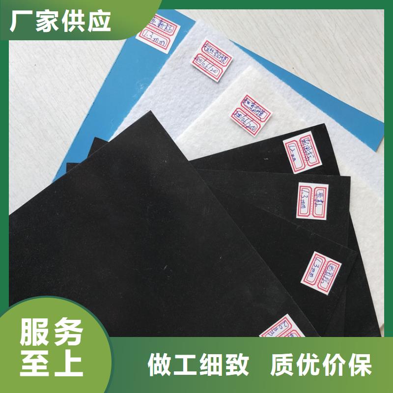 土工膜HDPE土工膜工程施工案例品质做服务