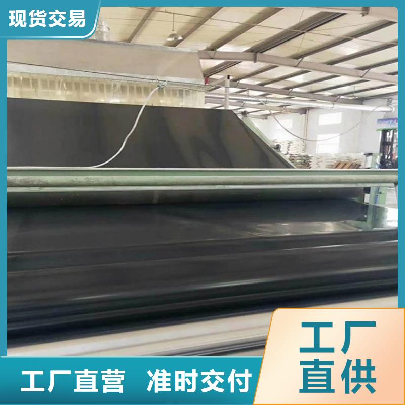 【土工膜_防渗膜现货充裕】支持加工定制
