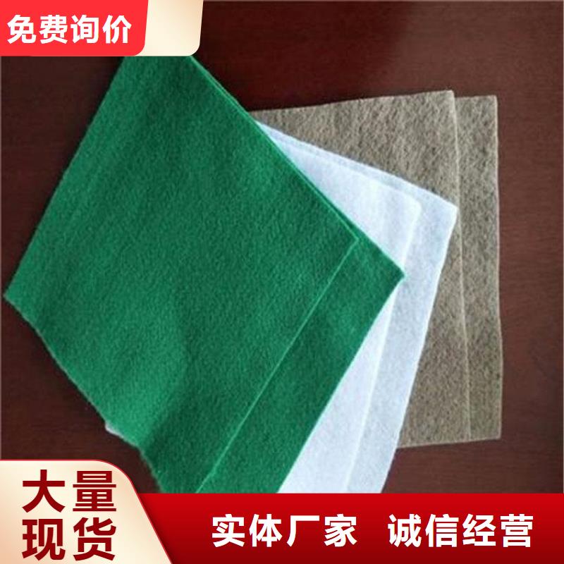 土工布,防水板厂家新品本地生产厂家