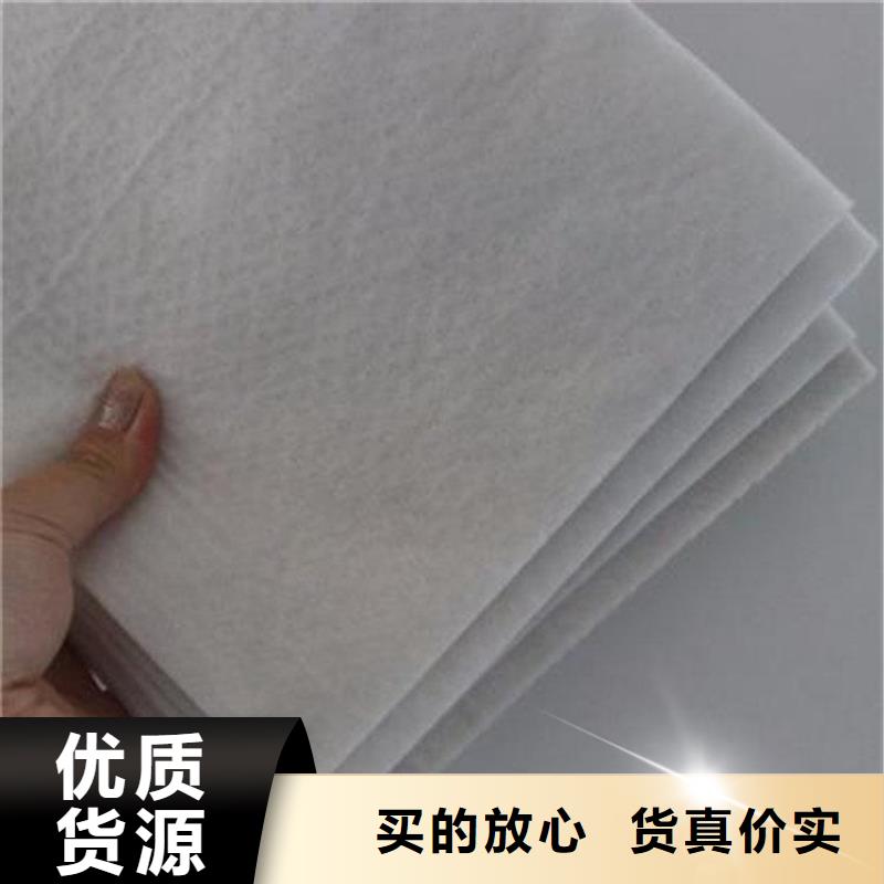 土工布_抗裂贴拥有核心技术优势拒绝差价