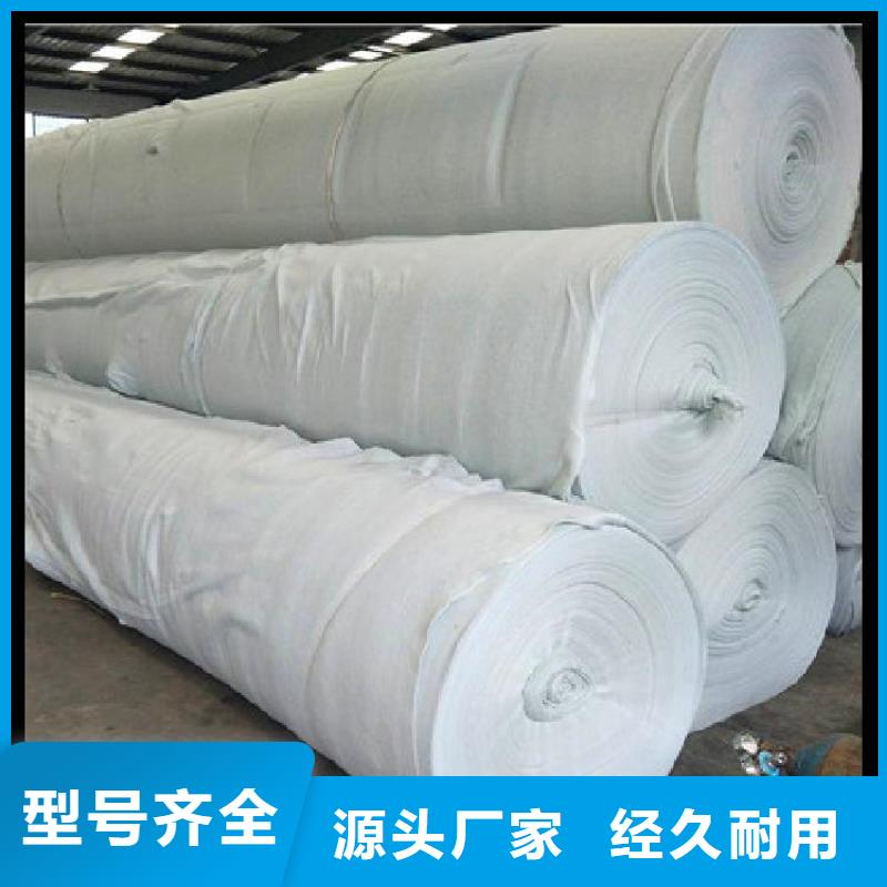 土工布-防渗土工膜买的放心优势