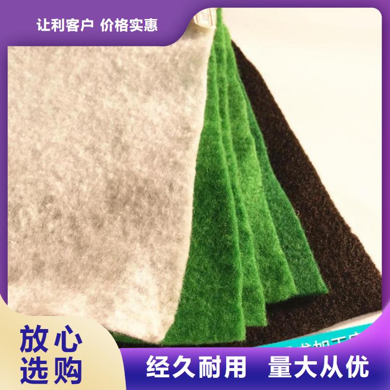 土工布植草格用心制造同城服务商