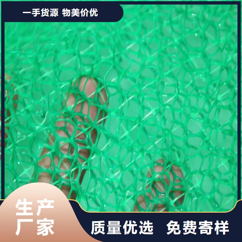 三维植被网生态袋超产品在细节本地公司