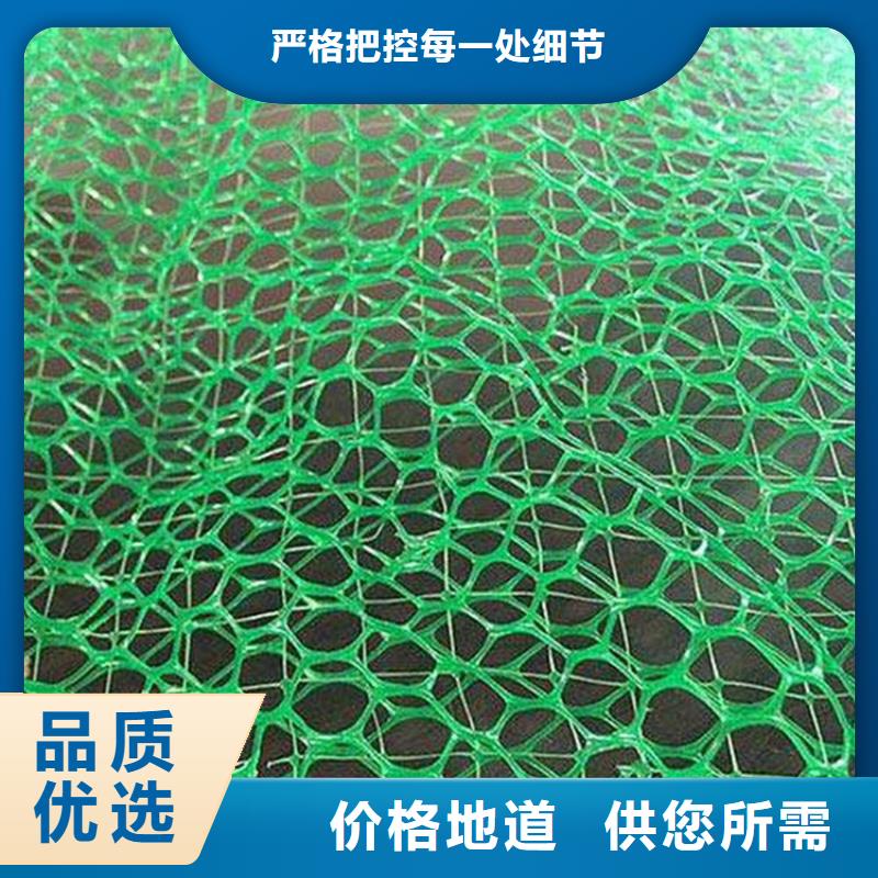 三维植被网防渗膜丰富的行业经验产品参数