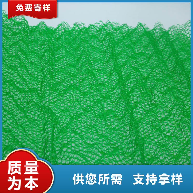 【三维植被网土工格栅厂家销售】库存充足