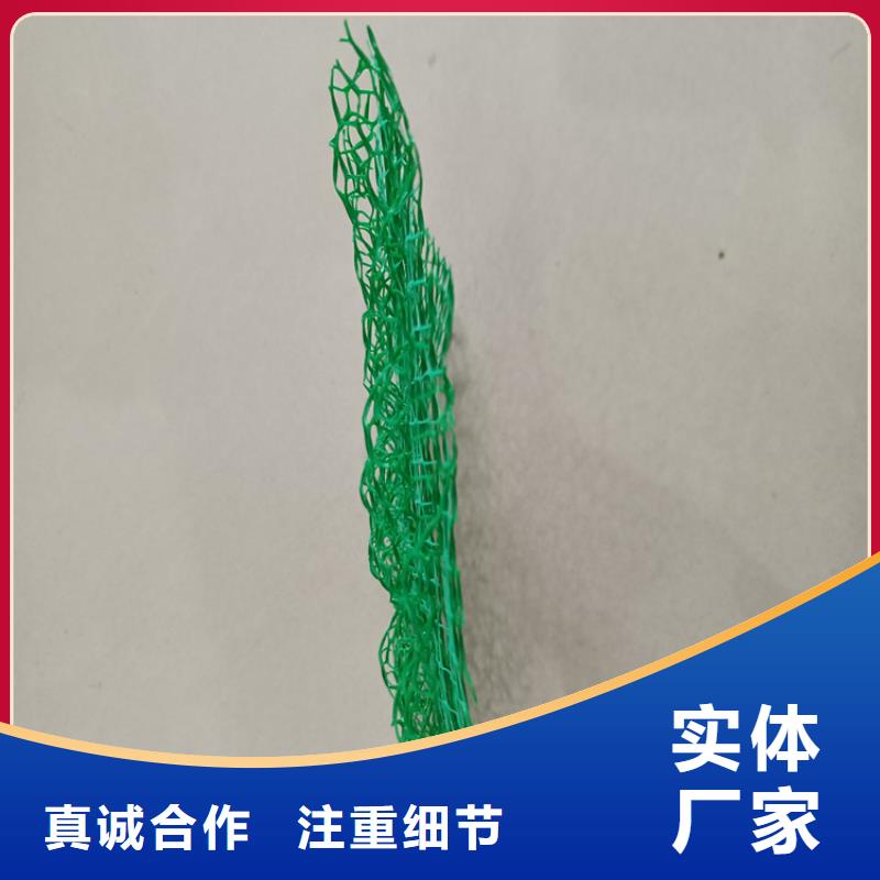 三维植被网复合土工膜实力公司厂家实力雄厚