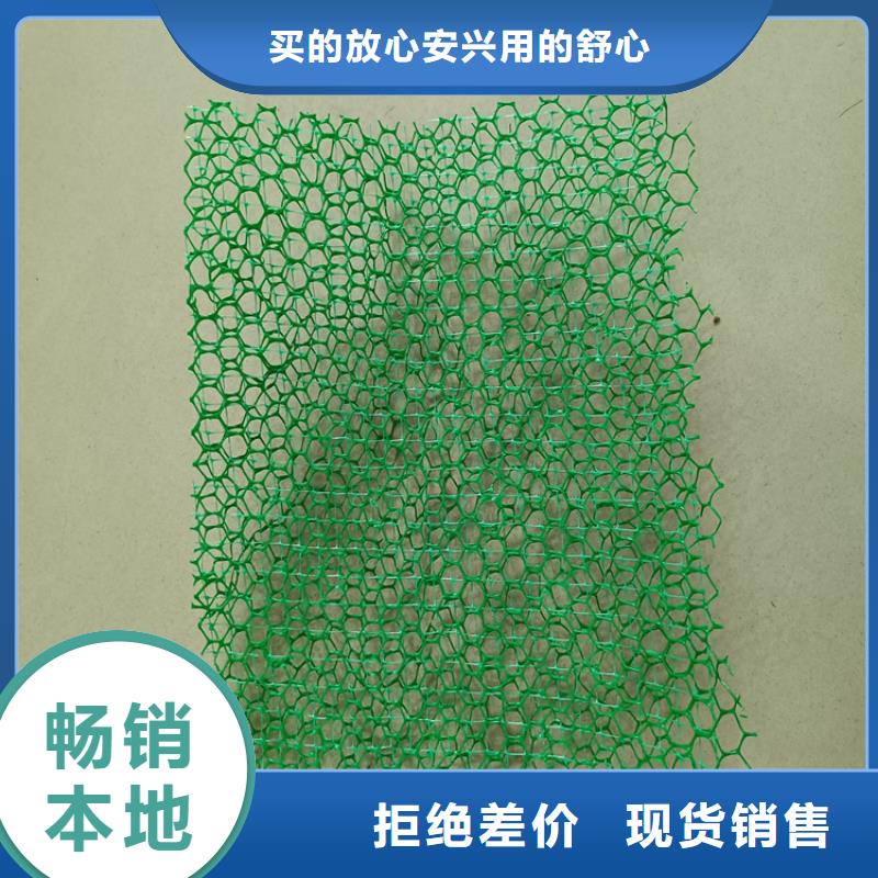 【三维植被网】土工膜厂家直销大量现货超产品在细节