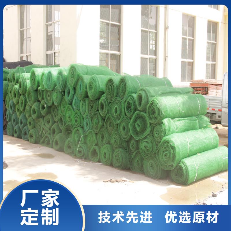 三维植被网-复合土工膜送货上门优质货源