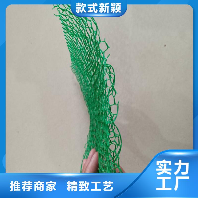 三维植被网防水板严格把控每一处细节实体诚信厂家