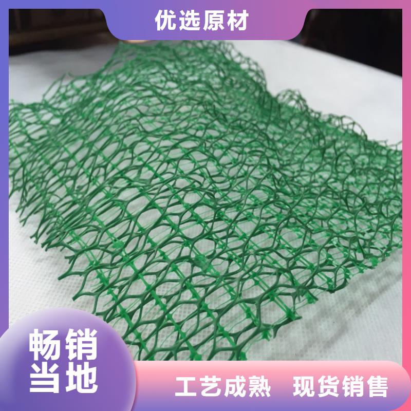 三维植被网,土工膜货源稳定当地品牌