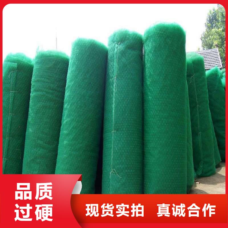 三维植被网膨润土防水毯高质量高信誉本地厂家