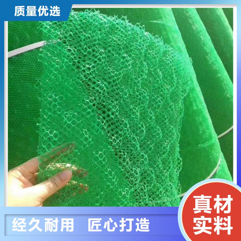 三维植被网【植草格】检验发货值得买