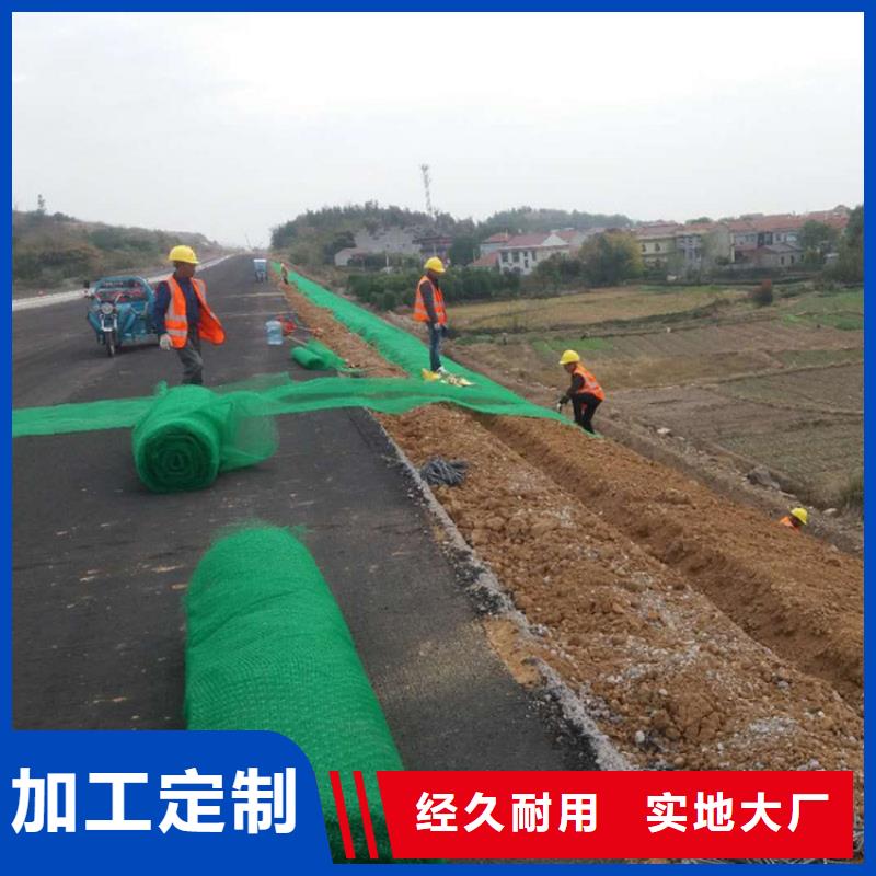 【三维植被网_防裂贴优质工艺】种类丰富