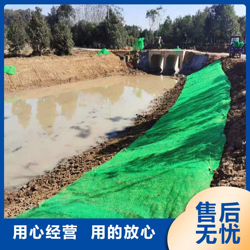 【三维植被网】膨润土防水毯优选好材铸造好品质真材实料