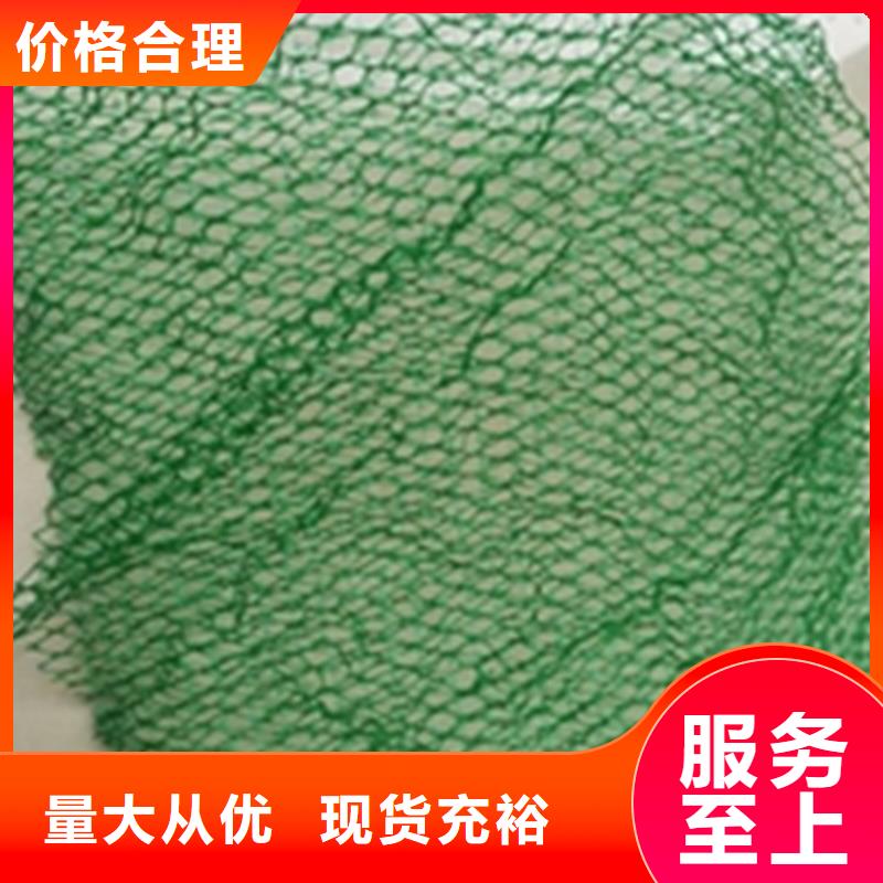 三维植被网塑料盲沟厂家工艺先进本地公司