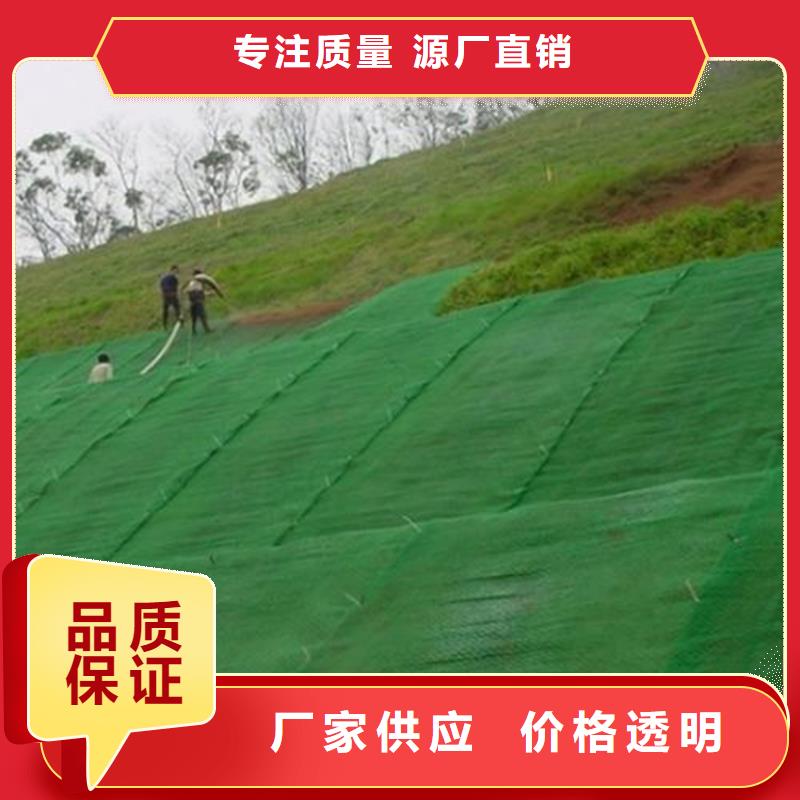 三维植被网软式透水管长期供应本地货源