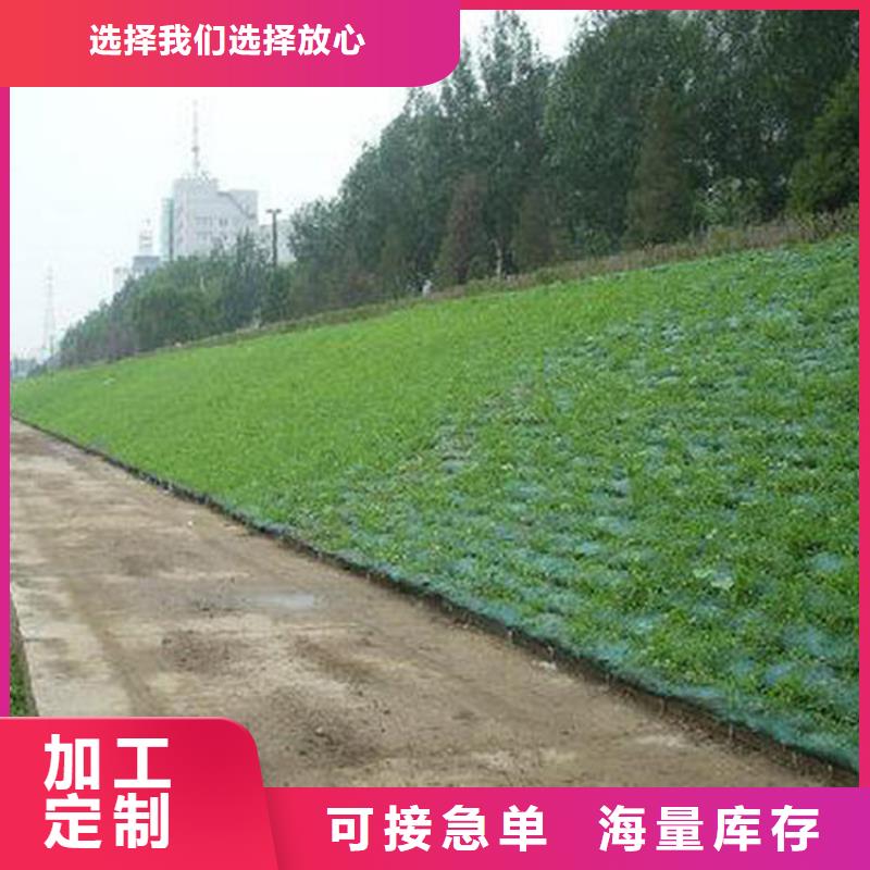三维植被网HDPE土工膜实时报价同城公司