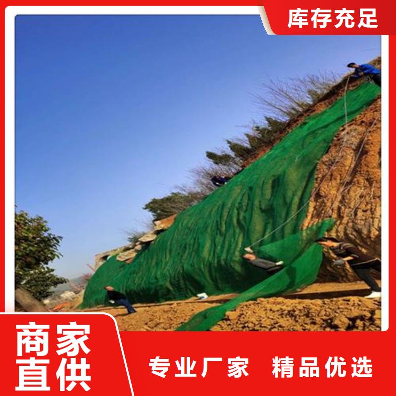 三维植被网土工膜工厂直供高标准高品质