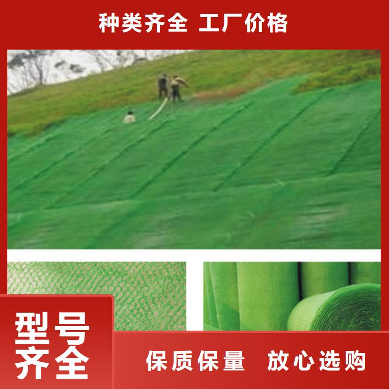 三维植被网,【土工膜】实力厂商一手货源源头厂家