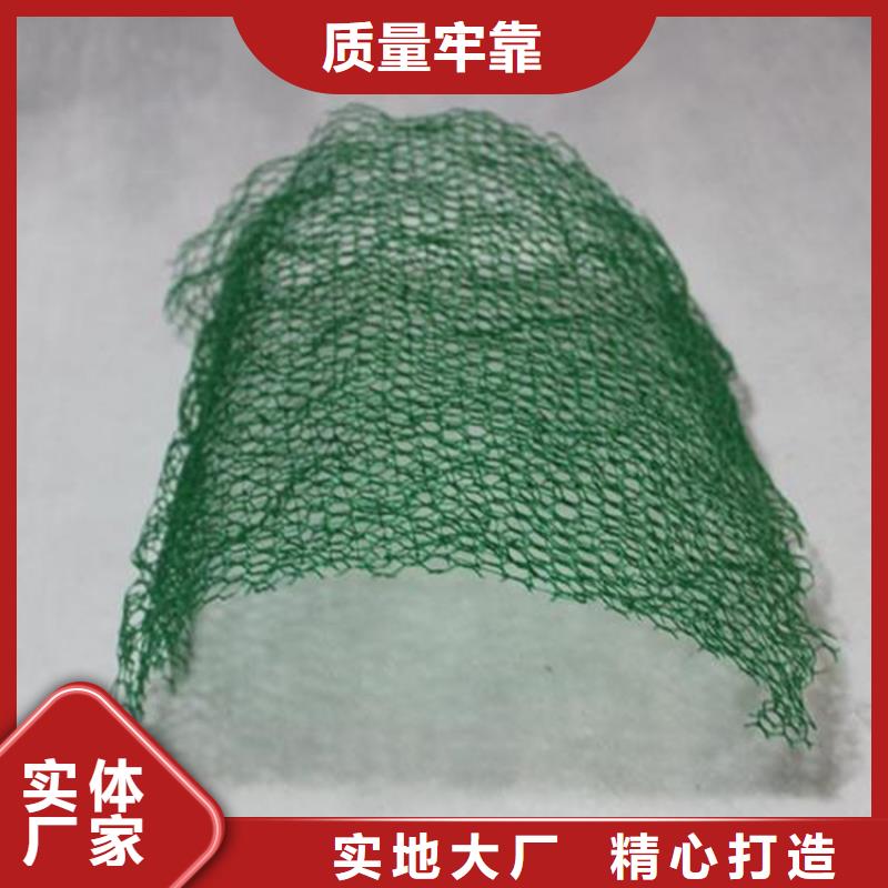 【三维植被网防草布详细参数】技术先进