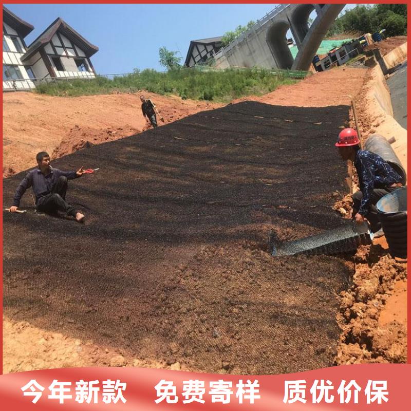 水土保护毯【【防渗膜】】出厂严格质检同城品牌