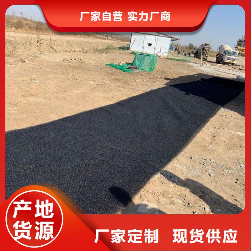 【水土保护毯】防水排水板符合行业标准厂家自营