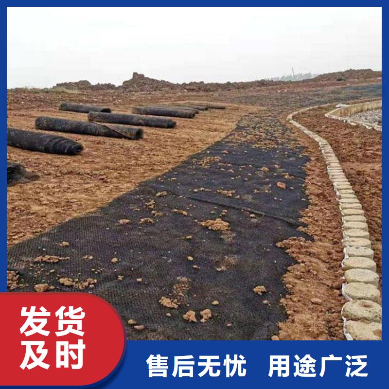 【水土保护毯】土工格栅联系厂家种类丰富