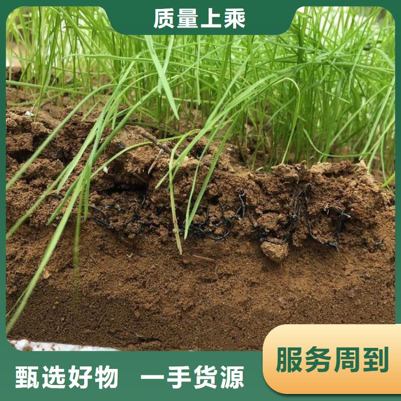 水土保护毯,通风降噪丝网的简单介绍品质保障售后无忧