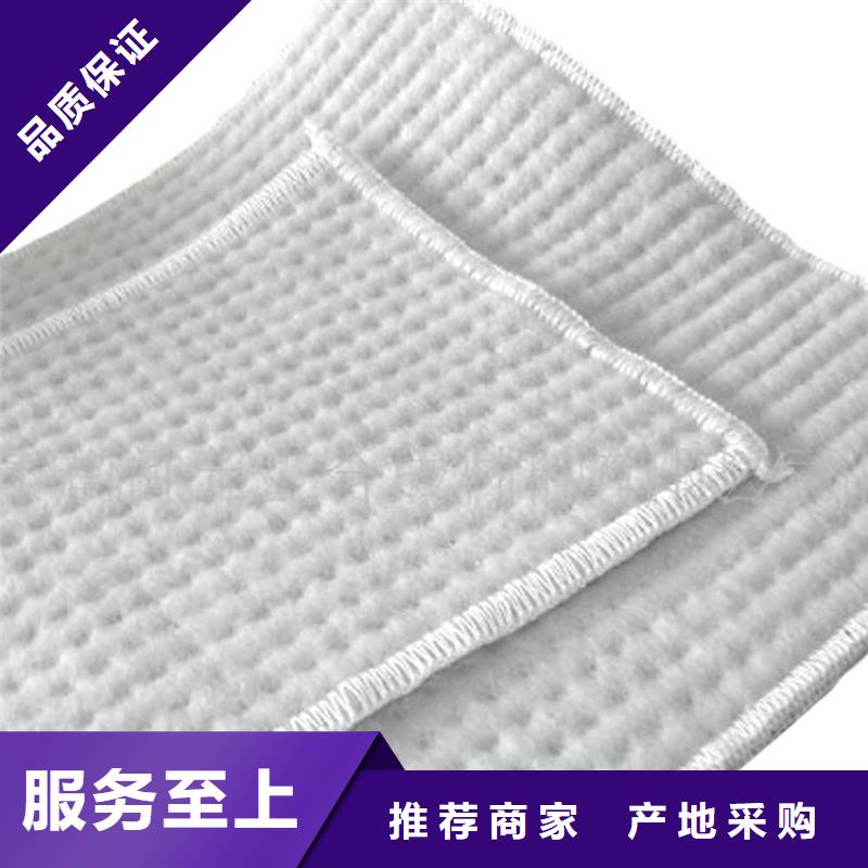 ​膨润土防水毯【防渗土工膜】一手价格同城生产商