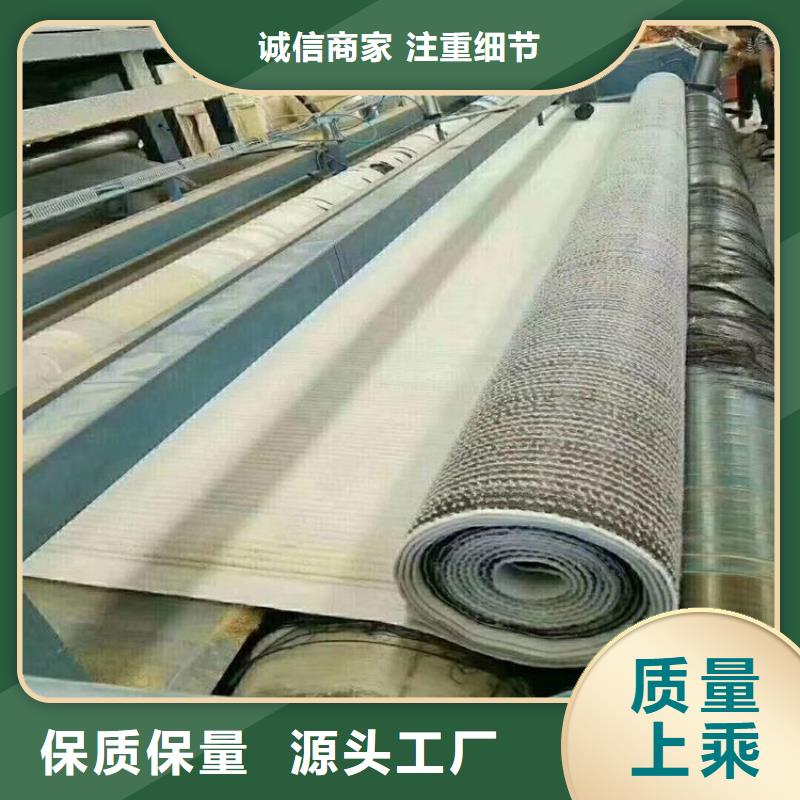 膨润土防水毯,防渗膜专心专注专业拒绝差价