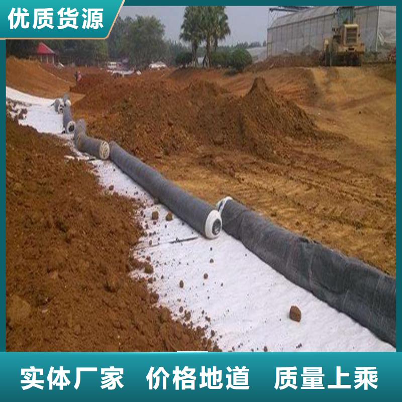 膨润土防水毯防水膜厂家经验丰富实力工厂