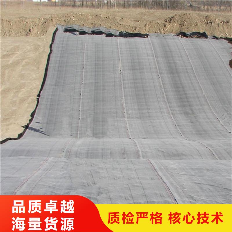 膨润土防水毯-土工布适用场景当地生产厂家
