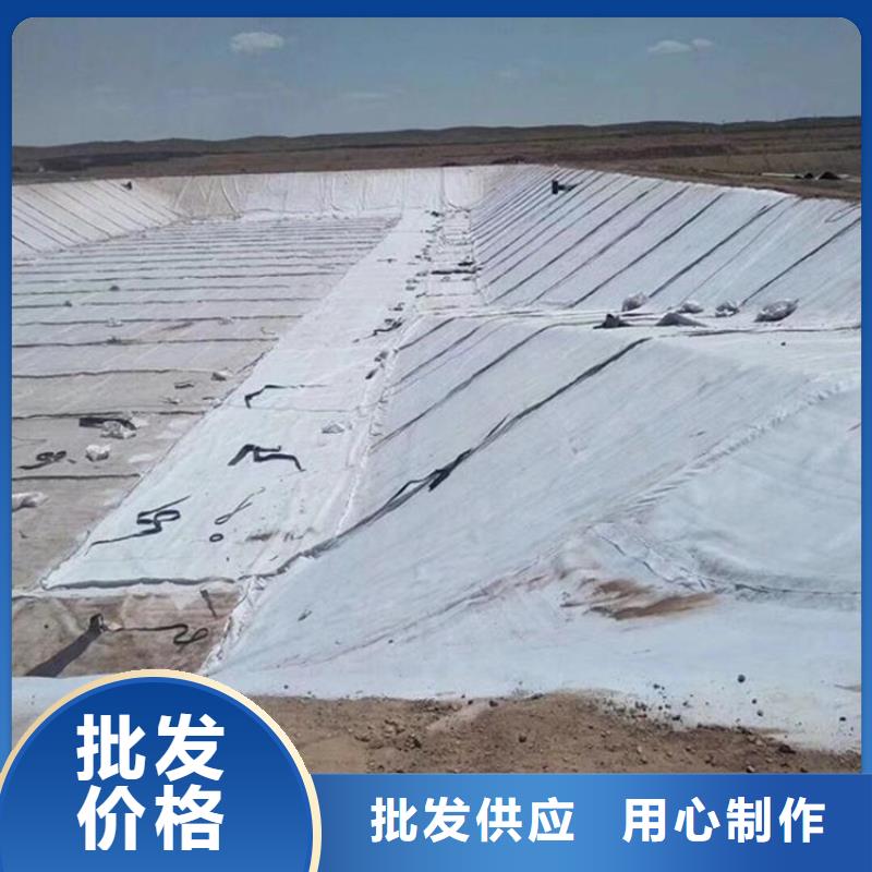 膨润土防水毯塑料排水板多行业适用同城经销商