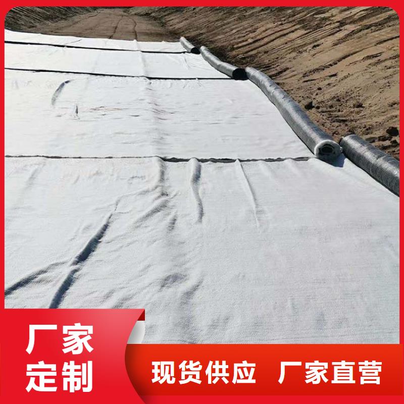 膨润土防水毯土工布丰富的行业经验多年经验值得信赖