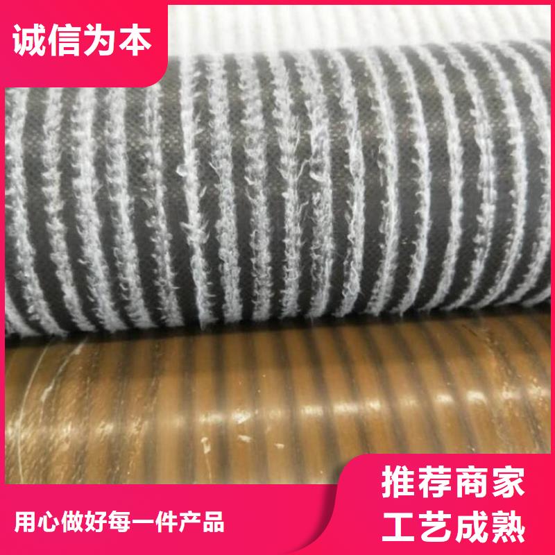膨润土防水毯防草布专业设计同城品牌