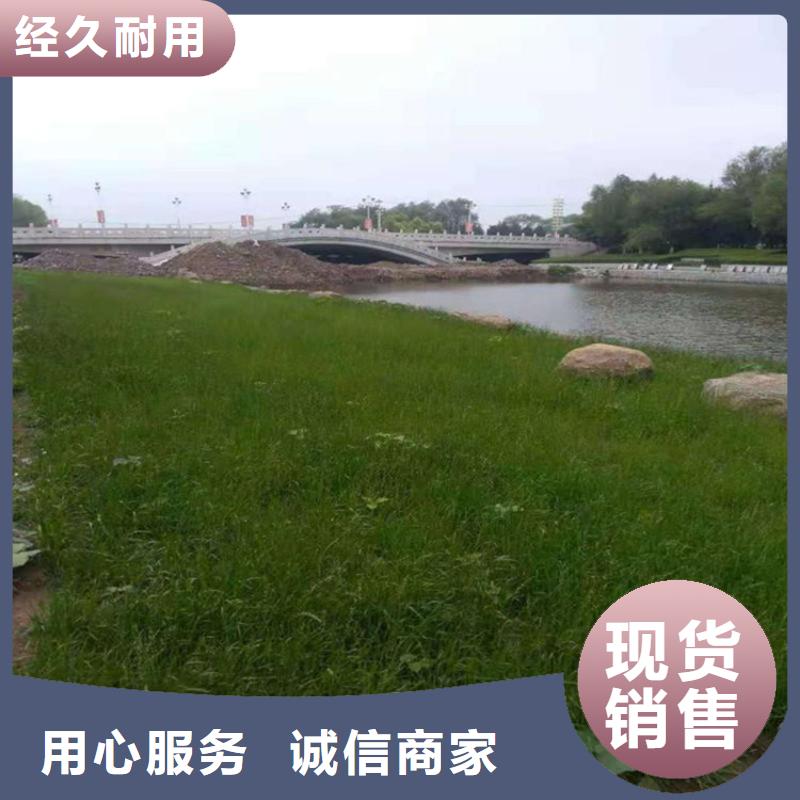椰丝毯防渗膜产品实拍实体厂家