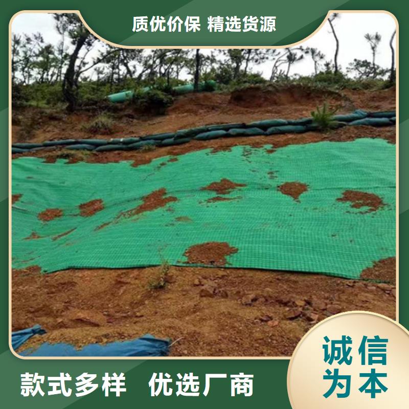 椰丝毯-土工膜符合行业标准好品质用的放心