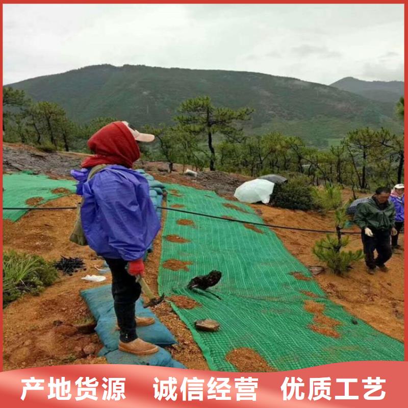 【椰丝毯软式透水管好产品好服务】自主研发