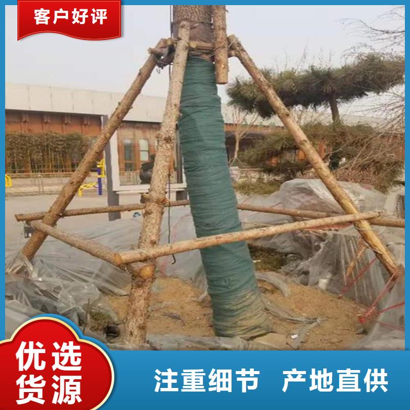 【裹树布】膨润土防水毯甄选好物同城供应商