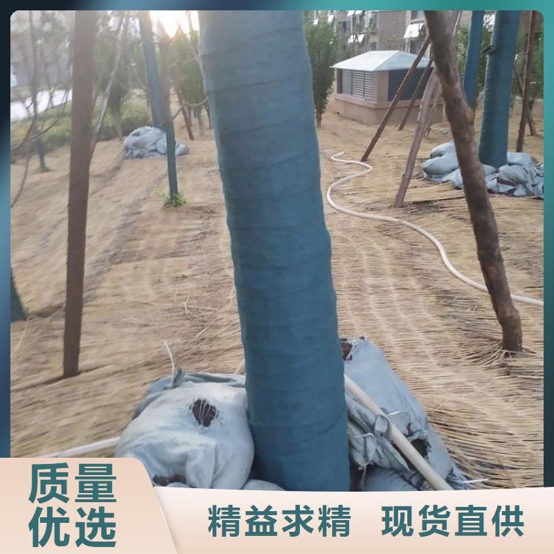 裹树布【土工布】采购本地生产商
